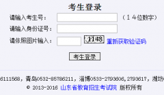 <b>http：//wsbm.sdzk.cn/art/山东艺术类专业校考网上报名缴费</b>