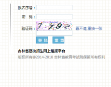 吉林省高校招生网上填报平台：https://gkbm.jleea.com.cn/