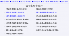 山东招生考试信息平台:wsbm.sdzk.cn/