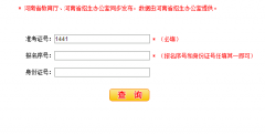 河南省2015年普通高等学校招生考试成绩查询系统