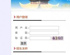 http://zkcx2.szjy.gov.cn:8090/宿州市中考成绩查询系统登陆