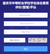 <b>重庆市综合素质评价官网入口</b>