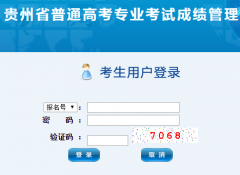 贵州省2018年3月普通高考英语听力考试成绩查询cjcx.gzszk.com/