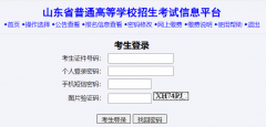 山东省教育招生考试院网（https://www.sdzk.cn/）
