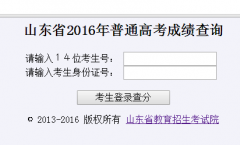 http://wsbm.sdzk.cn/山东省2017年普通高考成绩查询