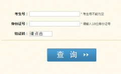 cx.sceea.cn/四川高考成绩查询入口
