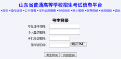 wsbm.sdzk cn登录