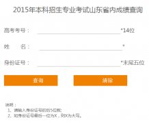 山东工艺美术学院2015年校考成绩查询