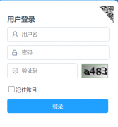 宁夏回族自治区初中学生综合素质评价管理平台:https://czzp.nxeduyun.com/