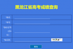 黑龙江省招生考试院高考查分系统：https://www.hljea.org.cn；