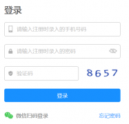 https://zs.dg.cn/东莞市义务教育阶段学校统一招生平台