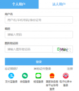 天津小客车调控管理系统