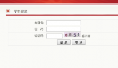 陕西招生考试信息网查询
