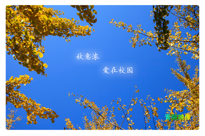 青院映像-秋日校园02.jpg